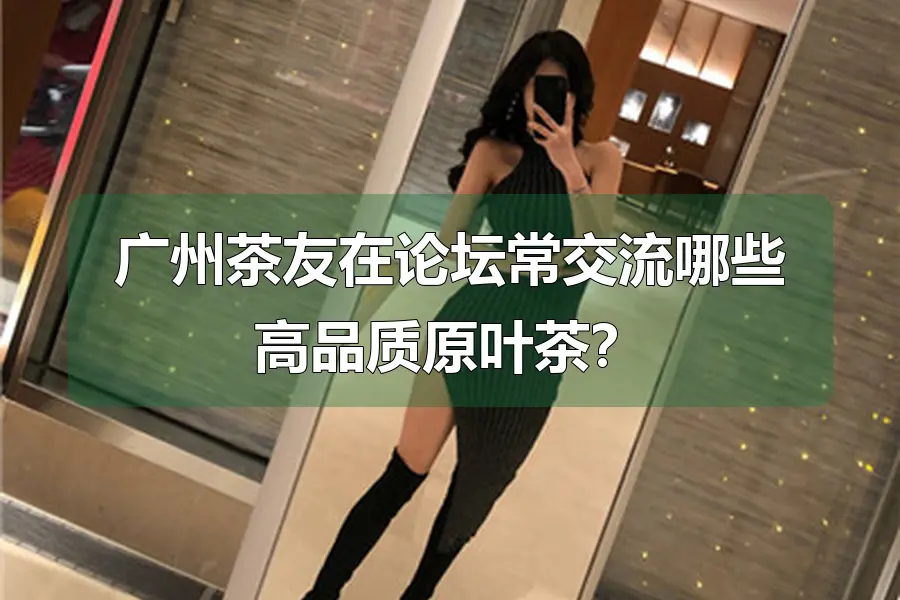 广州茶友在论坛常交流哪些高品质原叶茶?
